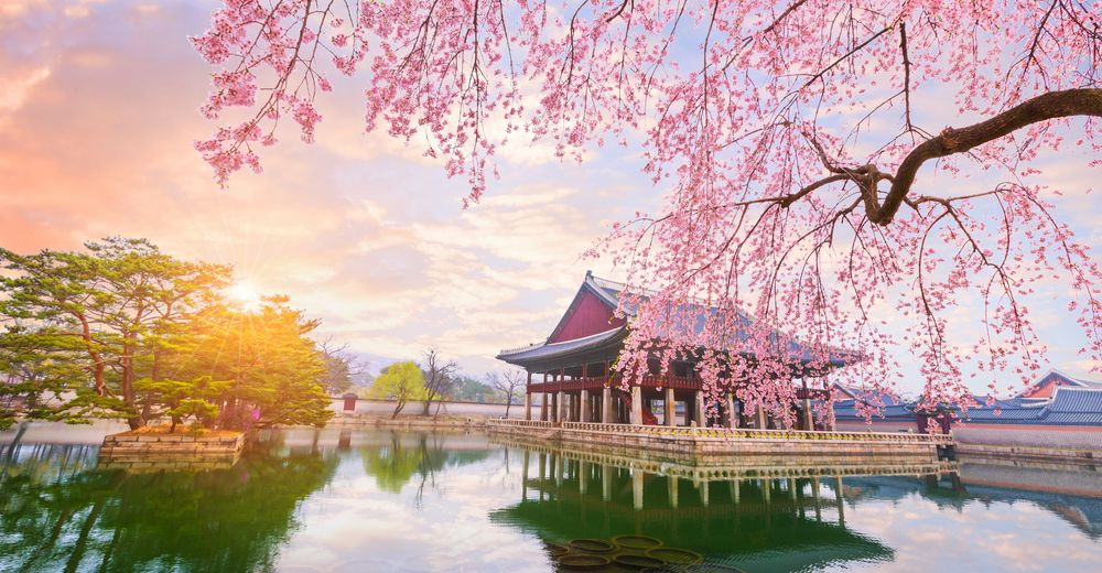 King's Star memories